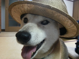 20120721_181810.jpg