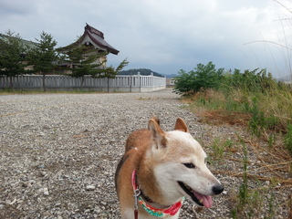 20120813_155818.jpg