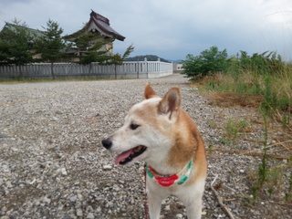 20120813_155819.jpg