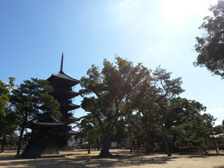20120927_095928.jpg