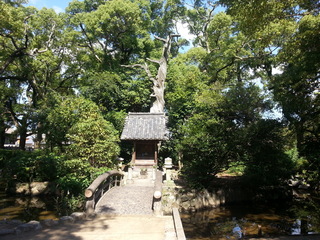 20120927_100711.jpg