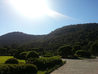20120927_145459.jpg