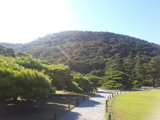 20120927_145952.jpg