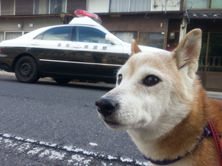 20121028_085741.jpg