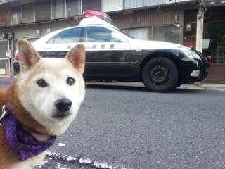 20121028_085828.jpg