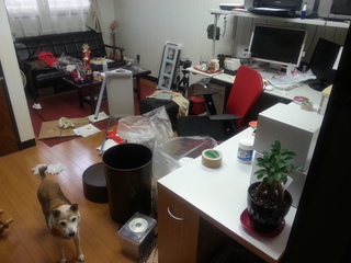 20121202_103459.jpg