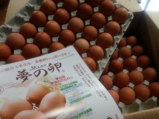 20121223_104644.jpg