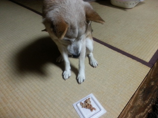 20121231_174713.jpg