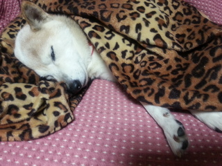 20130109_204539.jpg