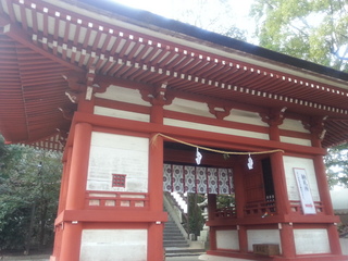 20130110_090317.jpg