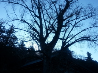 20130110_092031.jpg