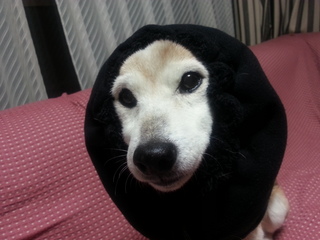20130111_192058.jpg
