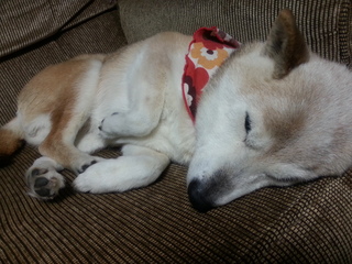 20130213_205843.jpg