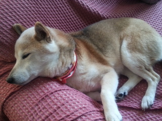 20130224_144835.jpg