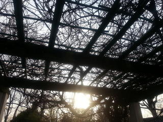 20130301_074328.jpg