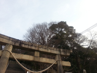 20130301_074520.jpg