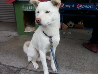 20130310_150942.jpg