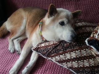 20130320_092923.jpg