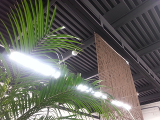 20130331_152210.jpg