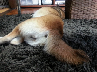 20130425_180442.jpg