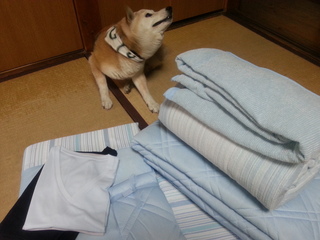 20130616_161552.jpg