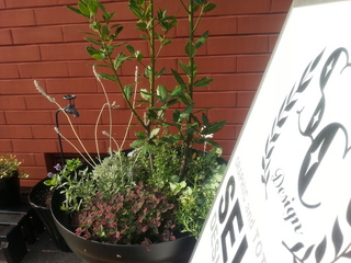 20130617_071756.jpg