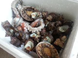 20130811_090625.jpg