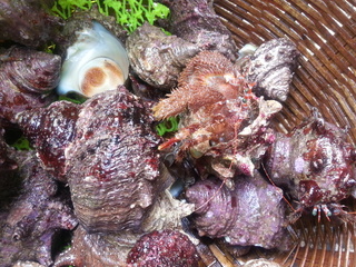 20130811_094356.jpg