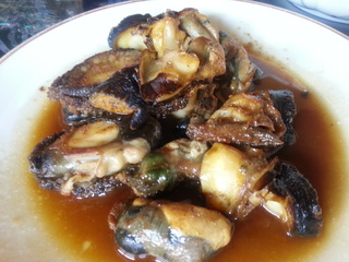 20130811_103950.jpg