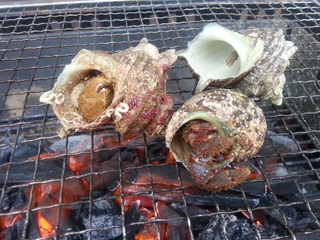 20130811_110712.jpg