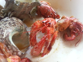 20130811_111919.jpg