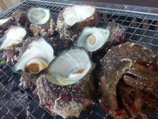 20130811_135813.jpg