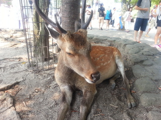 20130815_144539.jpg