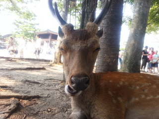 20130815_144544.jpg