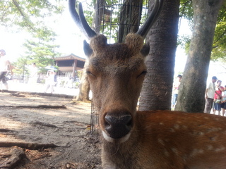 20130815_144547.jpg