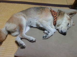 20130916_205541.jpg