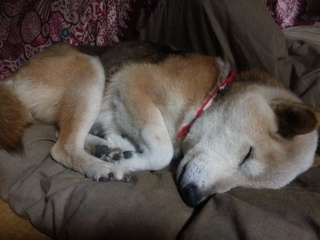 20131223_170409.jpg
