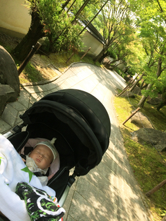 2014-07-20 09.29.55.jpg