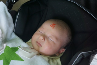 2014-07-20 10.56.52.jpg