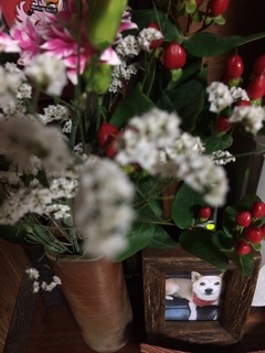 2014-08-15 21.28.09.jpg