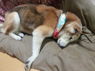 20140122_210138.jpg