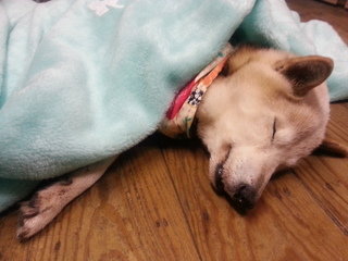 20140227_144305.jpg