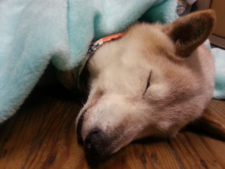 20140227_144316.jpg