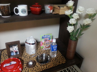 20140228_152026.jpg