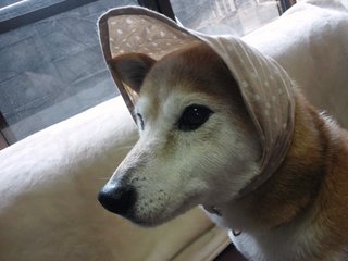 DSC_0307.JPG