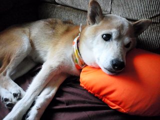 DSC_0938.JPG