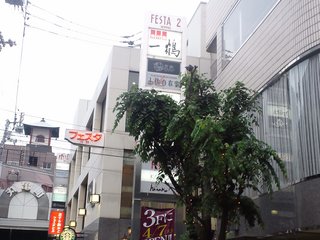 DSC_0979.JPG