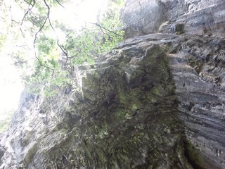 DSC_1086.JPG