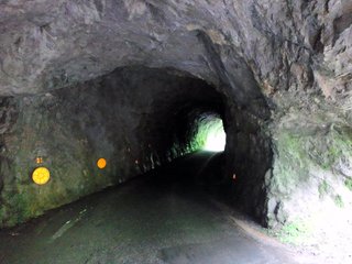 DSC_1091.JPG