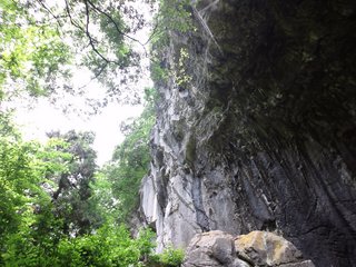 DSC_1092.JPG